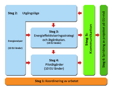 management and coordination chart